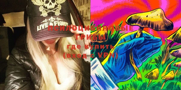 гашик Лихославль